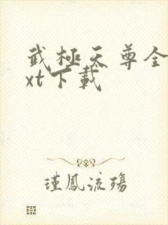 武极天尊全文txt下载