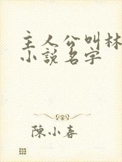 主人公叫林峰的小说名字