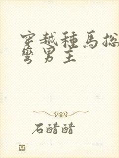 穿越种马总受掰弯男主