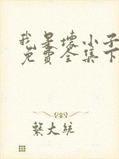 我是坏小子漫画免费全集下拉式漫画