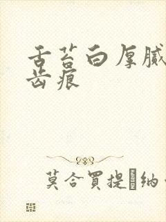 舌苔白厚腻 有齿痕