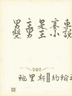 男主是赛车手的双男主小说
