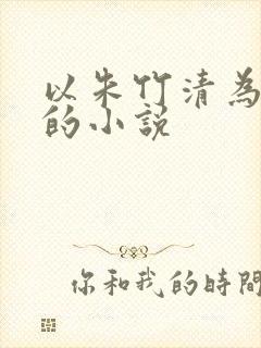 以朱竹清为女主的小说