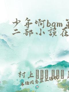 少年啊bgm第二部小说在线阅读