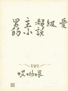 男主超级爱女主的小说