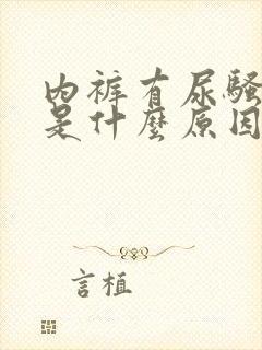 内裤有尿骚味重是什么原因