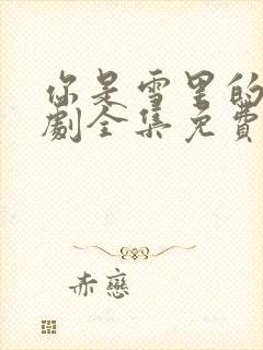 你是雪里的光短剧全集免费观看