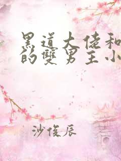 黑道大佬和医生的双男主小说