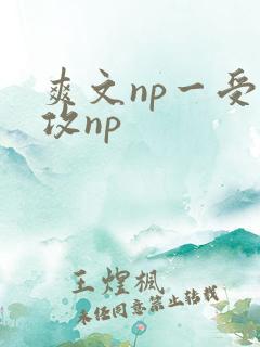 爽文np一受多攻np