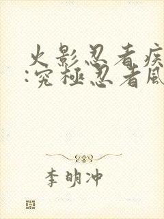 火影忍者疾风传:究极忍者风暴2