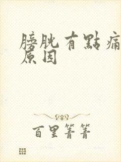 膀胱有点痛什么原因