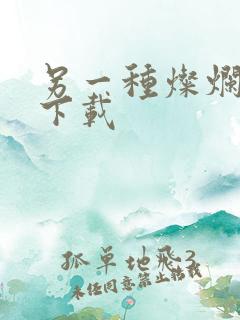 另一种灿烂生活下载