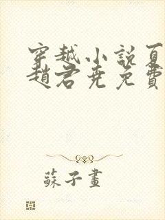 穿越小说夏如卿赵君尧免费阅读