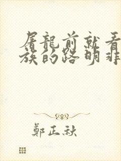 屠龙前就看了龙族的路明非 小说