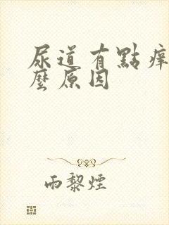 尿道有点痒是什么原因