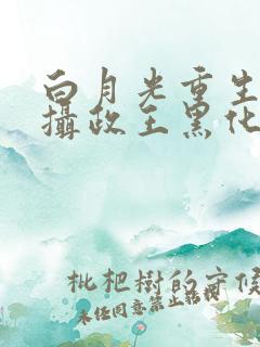 白月光重生后,摄政王黑化了