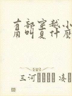 有部穿越小说主角叫夏什么