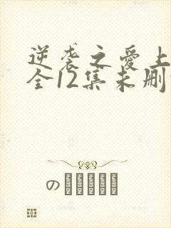 逆袭之爱上情敌全12集未删减