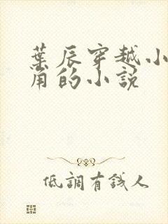 叶辰穿越小说主角的小说