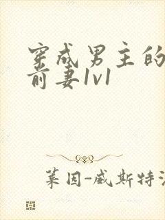 穿成男主的炮灰前妻1v1