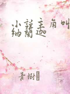 小说主角叫叶观纳兰迦