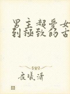 男主超爱女主爱到极致的古言