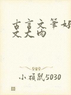 古言文笔好的宠文大肉