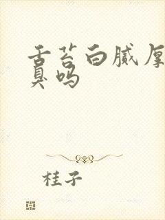 舌苔白腻厚会口臭吗