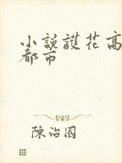 小说护花高手在都市
