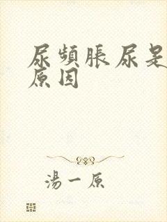 尿频胀尿是什么原因