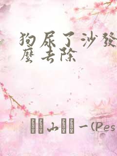 狗尿了沙发上怎么去除