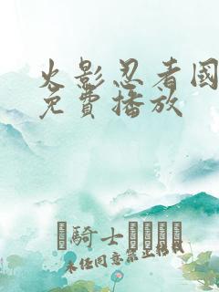 火影忍者国语版免费播放