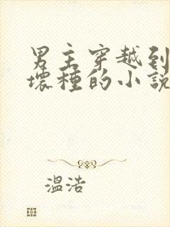 男主穿越到美剧坏种的小说