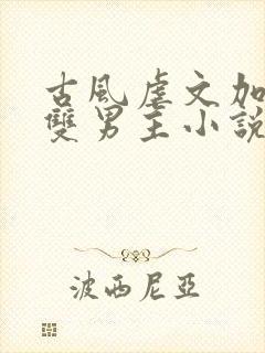 古风虐文加虐身双男主小说