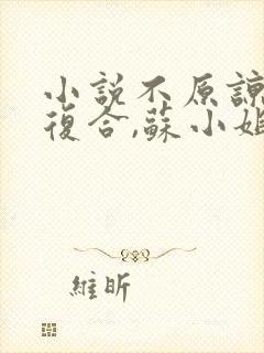 小说不原谅,不复合,苏小姐独美txt