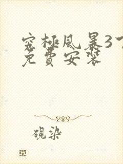 究极风暴3下载免费安装