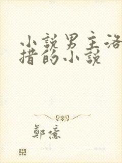 小说男主洛追嘉措的小说