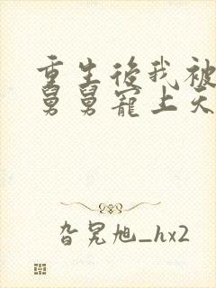 重生后我被渣男舅舅宠上天