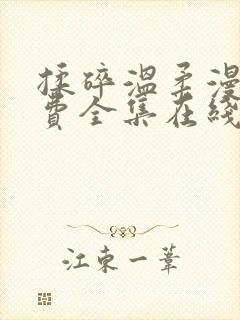 揉碎温柔漫画免费全集在线观看下拉