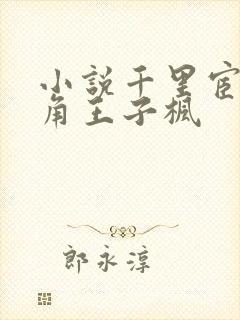 小说千里宦途主角王子枫