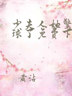 少夫人她惊艳全球了免费下载