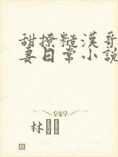 甜撩糙汉哥的宠妻日常小说