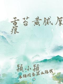 舌苔黄腻厚有齿痕