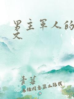 男主军人的甜宠文