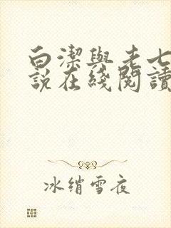 白洁与老七的小说在线阅读