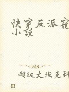 快穿反派宠上天小说