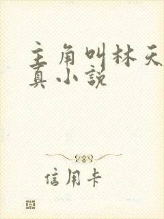 主角叫林天的修真小说