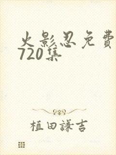 火影忍免费观看720集