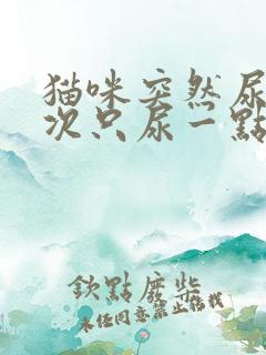 猫咪突然尿频每次只尿一点