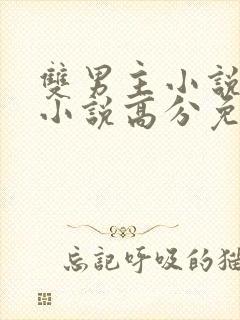 双男主小说完结小说高分免费